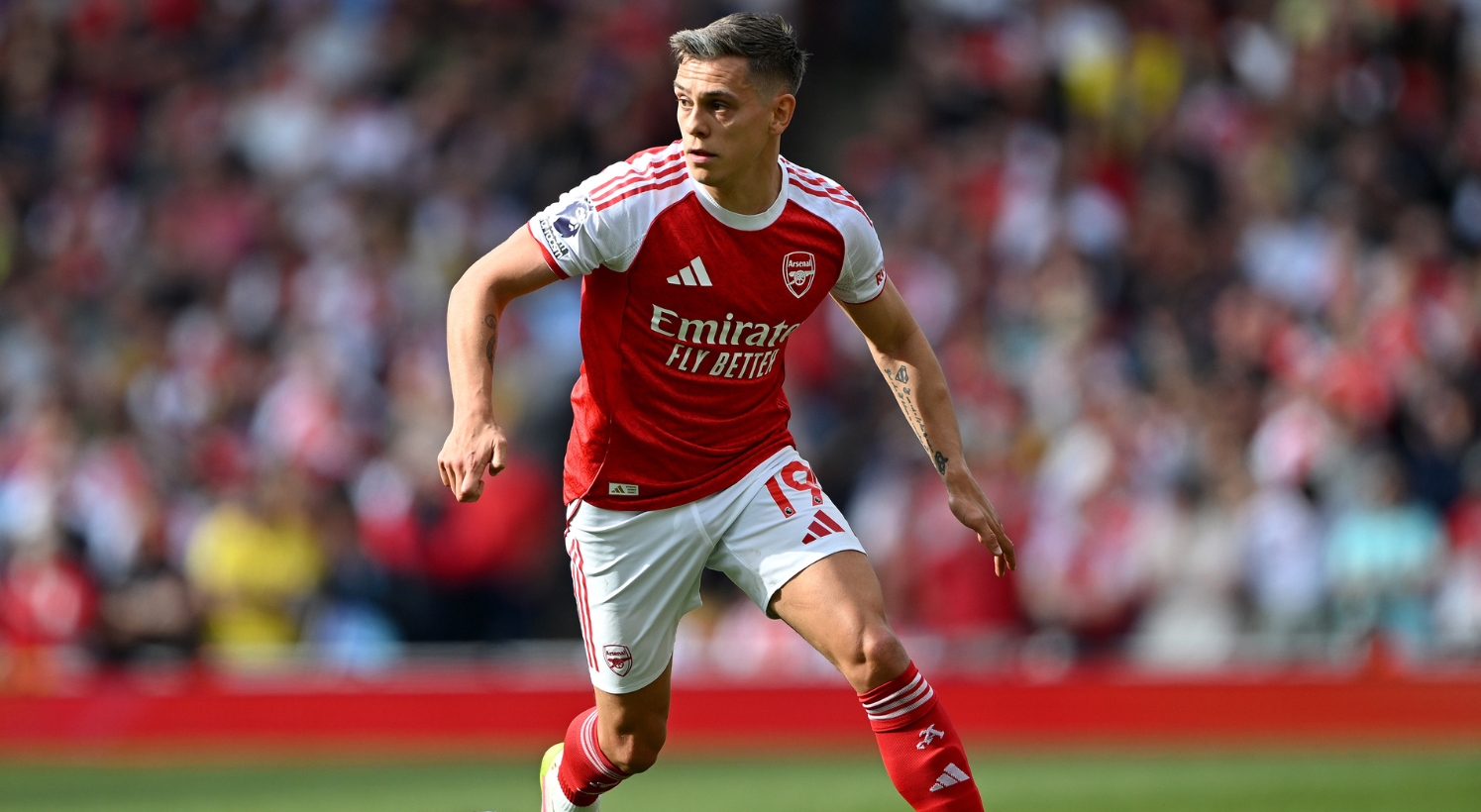 Profil Leandro Trossard Arsenal